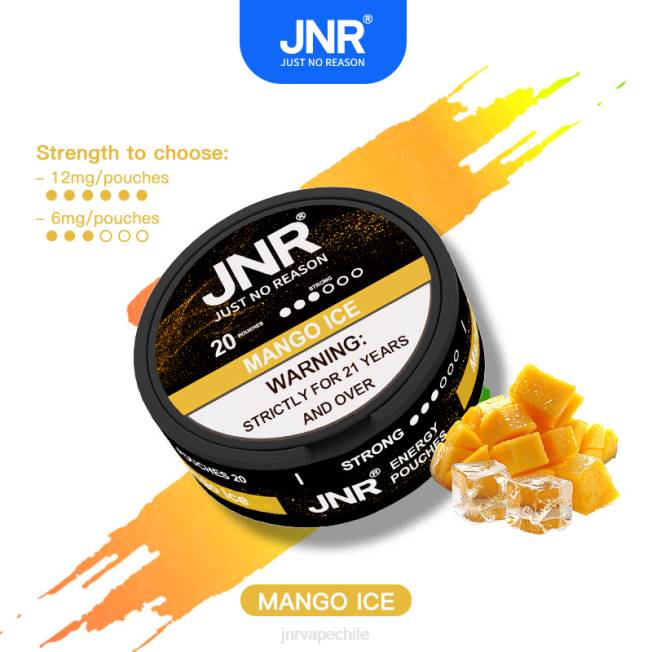 JNR vapes factory - bolsas de energía jnr hielo de mango R008T100