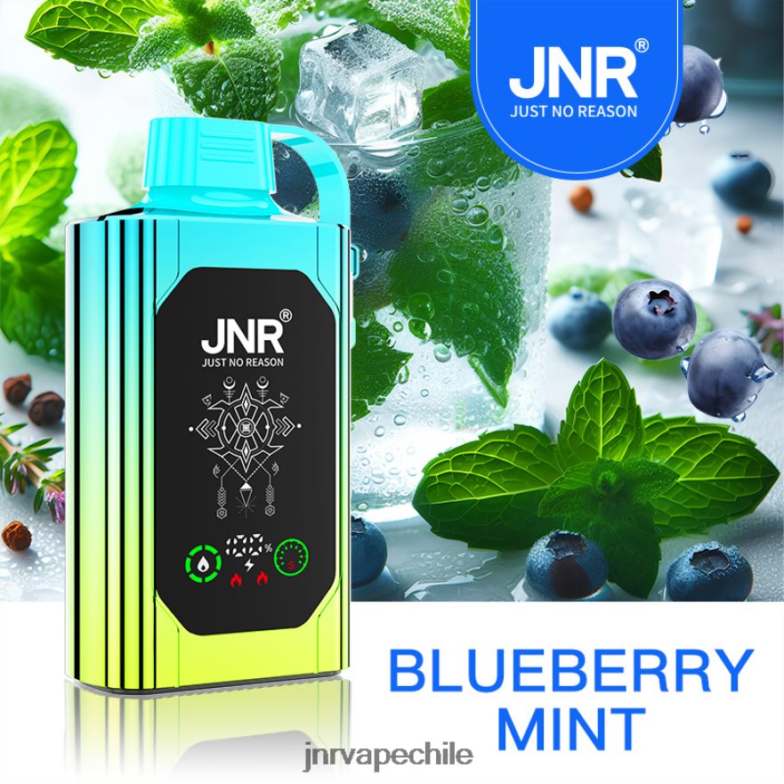 JNR SHISHA caja JNR vape nicotine content - menta de arándanos NB4N88