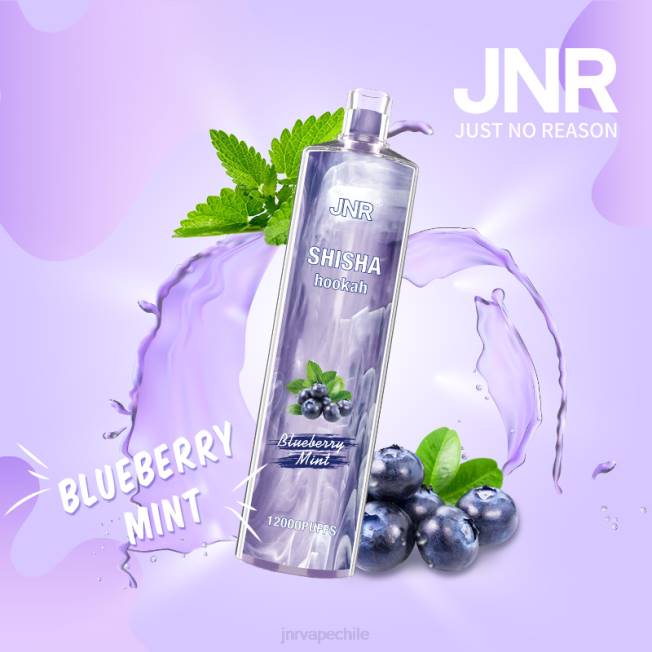 JNR vape review - shisha jnr menta de arándanos R008T172