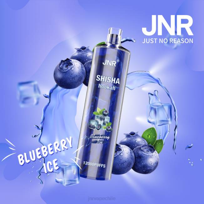 JNR vape santiago - shisha jnr hielo de arándanos R008T161