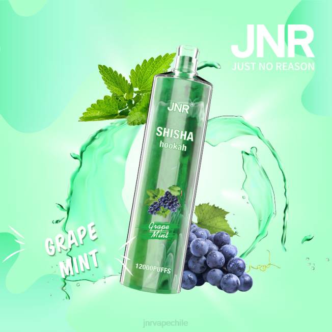 JNR vape santiago - shisha jnr menta de uva R008T171